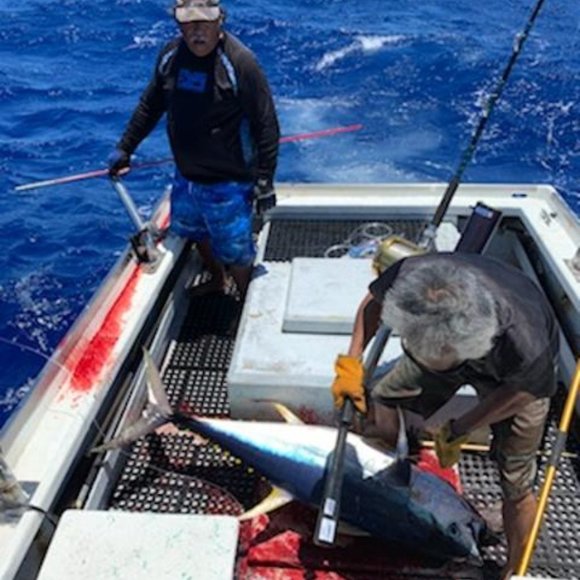 HAPPY TO BACK IN THE WATER CATCHING FISH